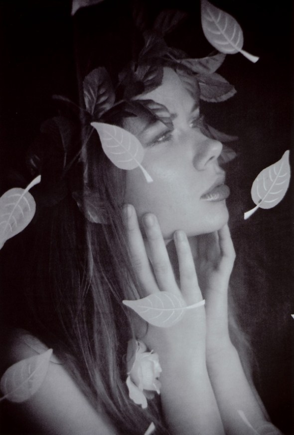 15_01_2008_0609021001200348376_francis_a_willey