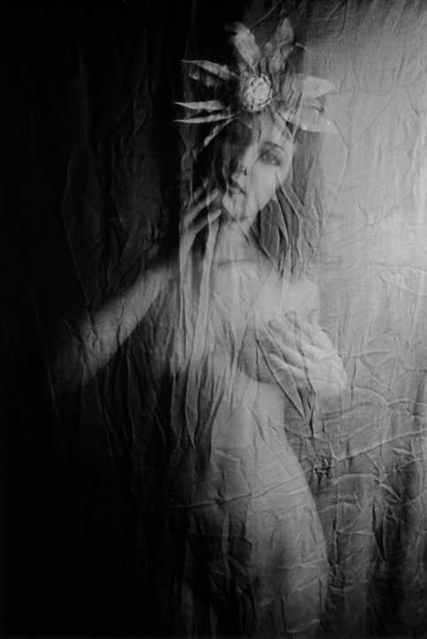 31404_435428711417_604506417_5992737_8042538_n