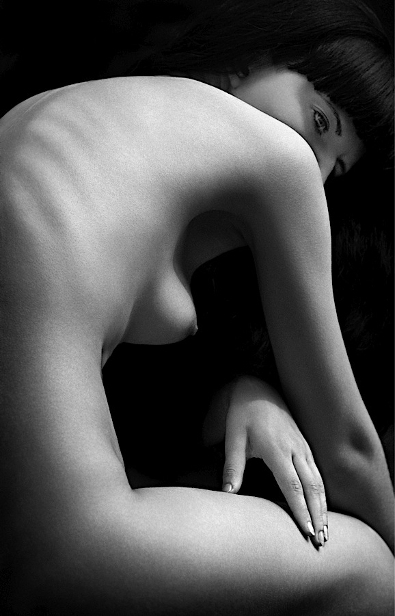 3d69f6588b18f2e89b6d72a2196e4ddc-d3icn1p