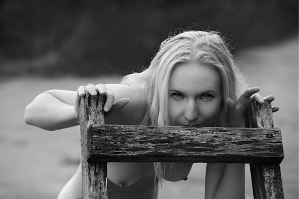 artlimited_img279955