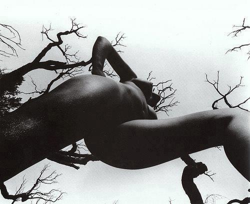 sphotos-ak-fbcdn-net