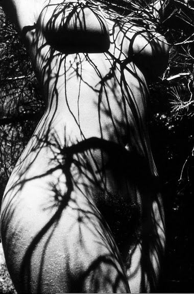 tumblr_lp9ugc2Dp51qztk1wo1_400