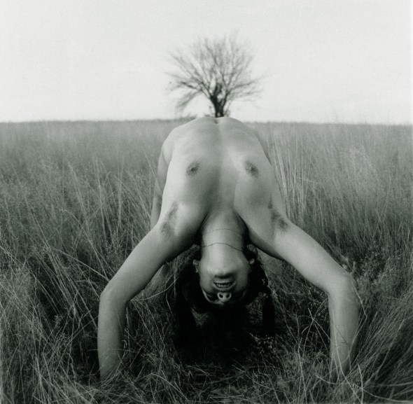 45656450_8201d9e7c4_o