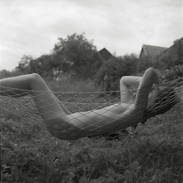 47408409_1f36651be8_o