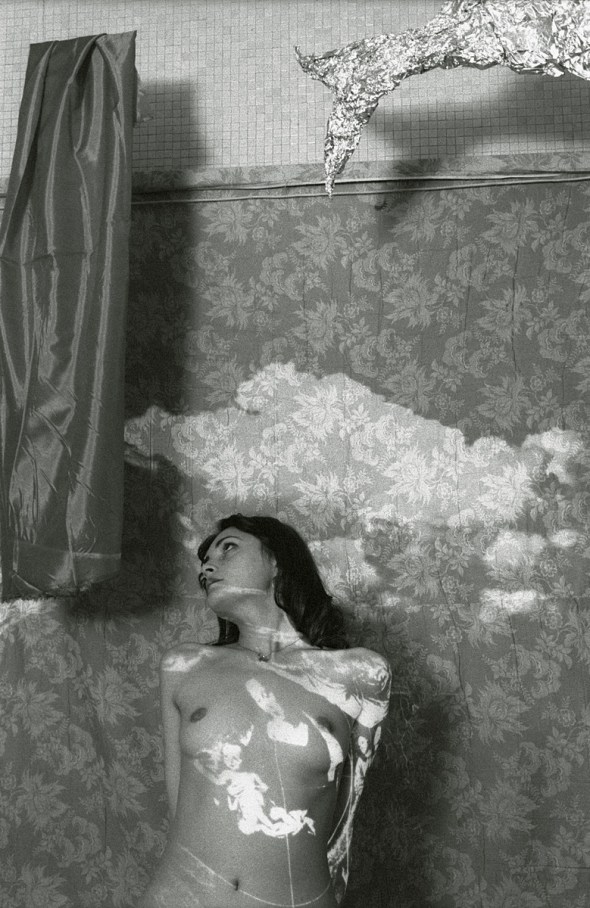 48005611_54649478a6_o