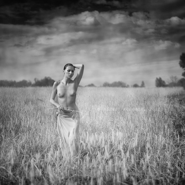 800xcopyimg_5306-copy