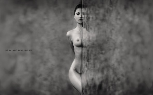 800xlcs_0371_1000_01222_bw