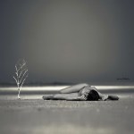 800xsirene_of_dissapeared_sea_novyj_razmer