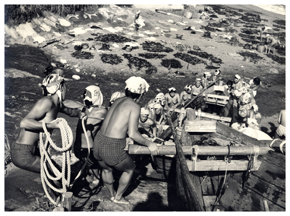 70f5acd87796442ac9582b5821ba1341226764