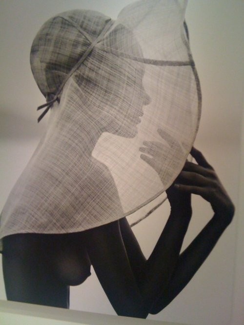 97e798df6848be3107a0a649d89df89a