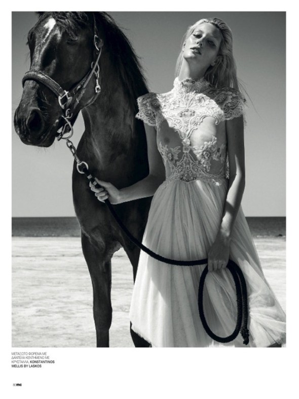 6a00e54ecca8b988330192ab9d687f970d