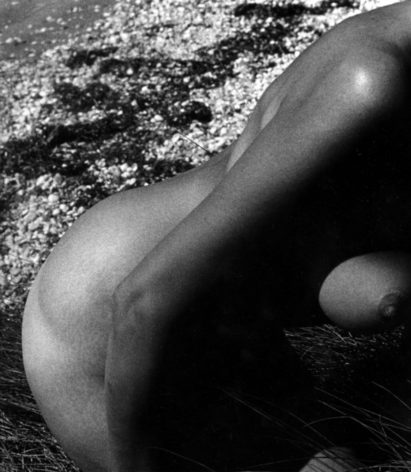 med_07-breast_moon-jpg