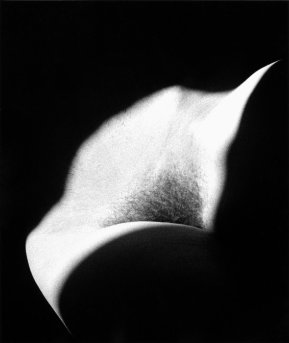 med_11-naissance_du_monde-jpg