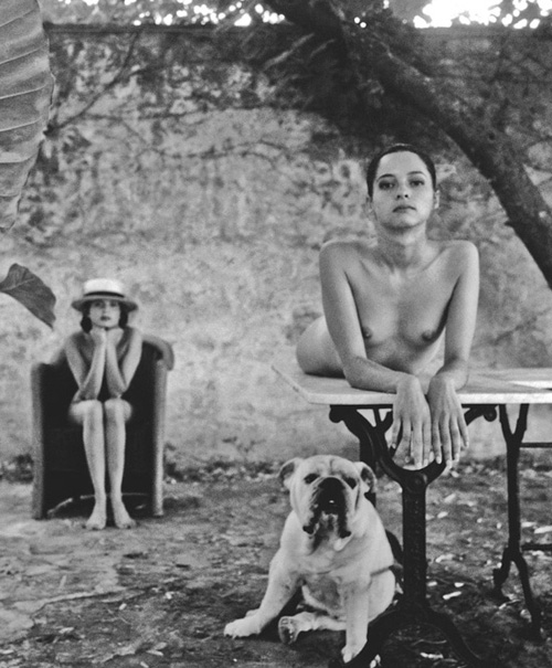 Hundebuch_Kap3_TD.qxd:Hundebuch_Kap3_TD.qxd